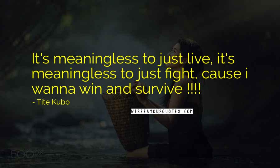 Tite Kubo Quotes: It's meaningless to just live, it's meaningless to just fight, cause i wanna win and survive !!!!