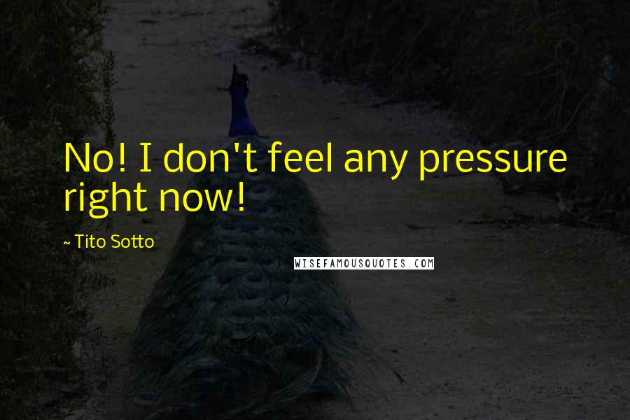 Tito Sotto Quotes: No! I don't feel any pressure right now!