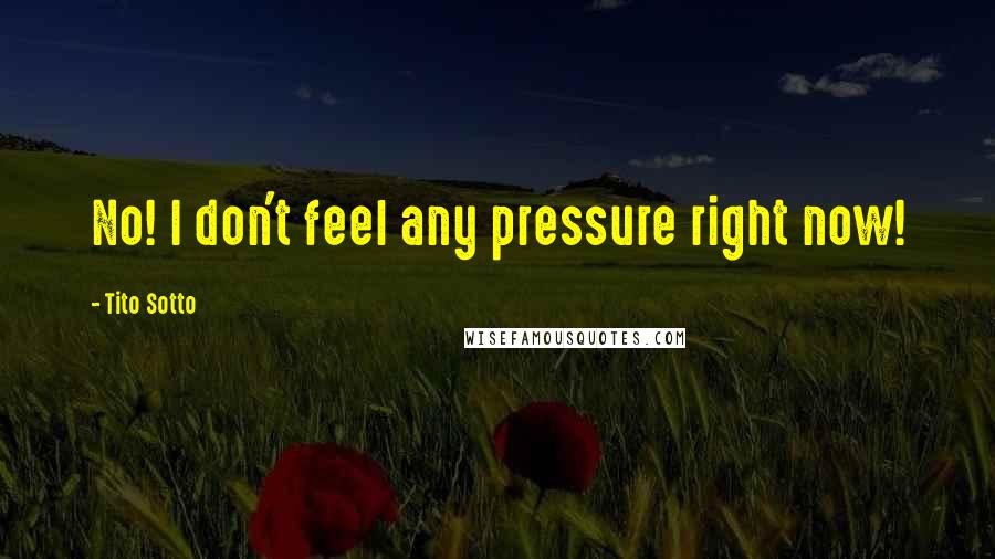 Tito Sotto Quotes: No! I don't feel any pressure right now!