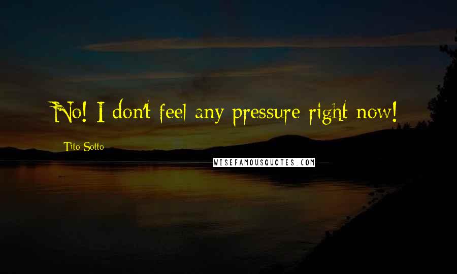 Tito Sotto Quotes: No! I don't feel any pressure right now!