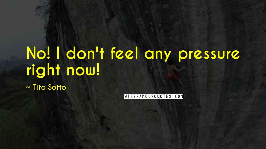 Tito Sotto Quotes: No! I don't feel any pressure right now!