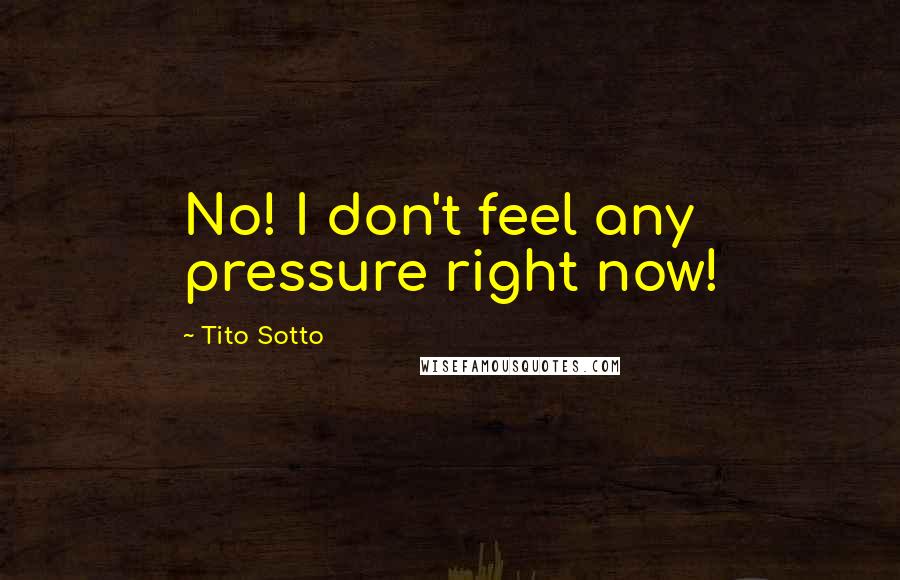 Tito Sotto Quotes: No! I don't feel any pressure right now!