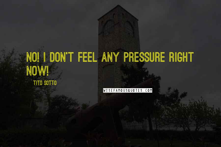 Tito Sotto Quotes: No! I don't feel any pressure right now!