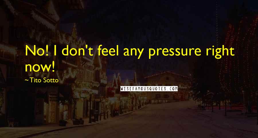 Tito Sotto Quotes: No! I don't feel any pressure right now!