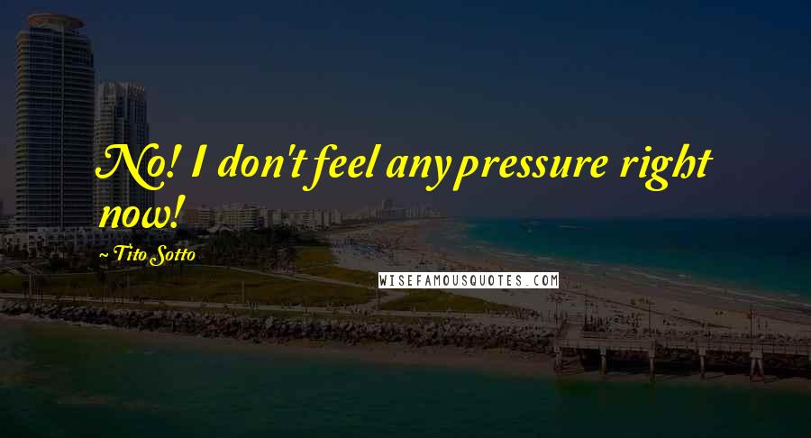 Tito Sotto Quotes: No! I don't feel any pressure right now!