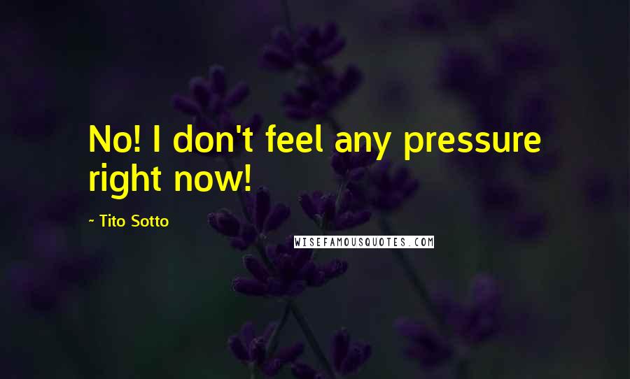 Tito Sotto Quotes: No! I don't feel any pressure right now!