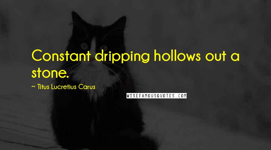 Titus Lucretius Carus Quotes: Constant dripping hollows out a stone.
