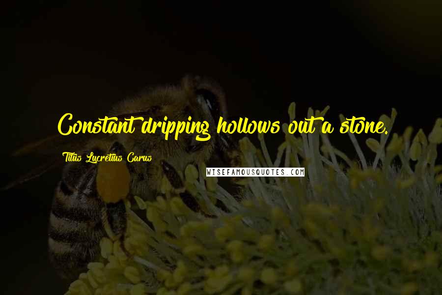 Titus Lucretius Carus Quotes: Constant dripping hollows out a stone.