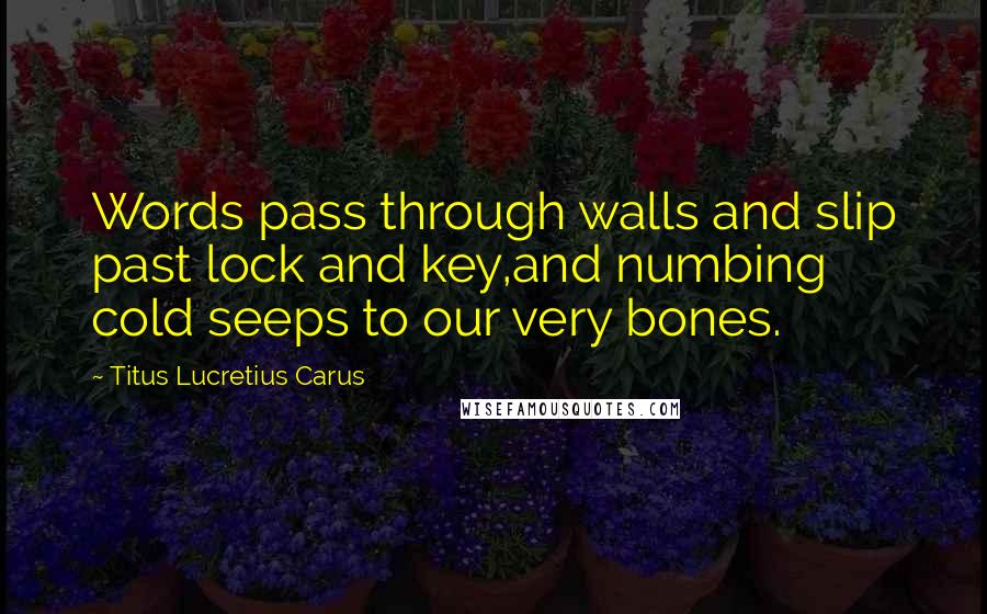Titus Lucretius Carus Quotes: Words pass through walls and slip past lock and key,and numbing cold seeps to our very bones.
