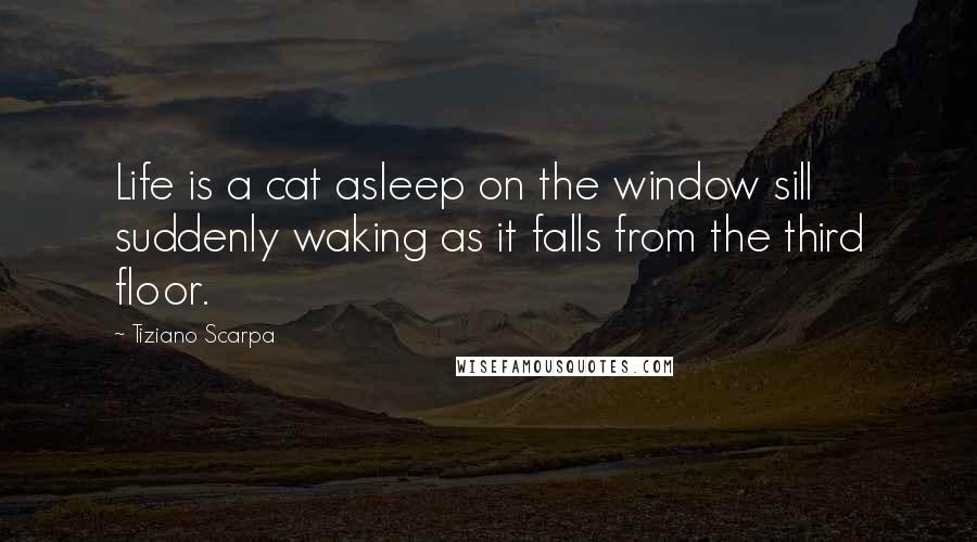 Tiziano Scarpa Quotes: Life is a cat asleep on the window sill suddenly waking as it falls from the third floor.