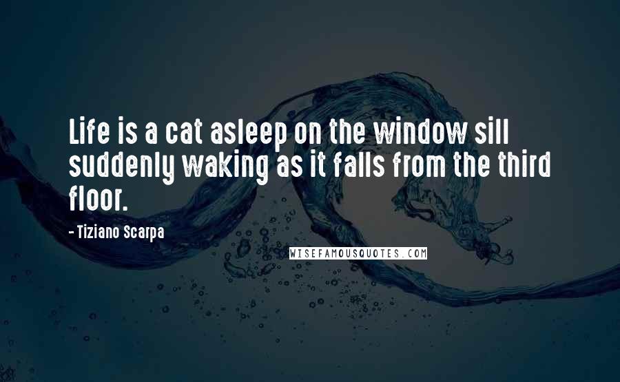 Tiziano Scarpa Quotes: Life is a cat asleep on the window sill suddenly waking as it falls from the third floor.