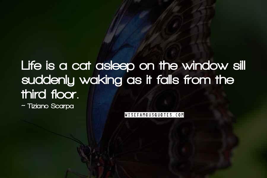 Tiziano Scarpa Quotes: Life is a cat asleep on the window sill suddenly waking as it falls from the third floor.