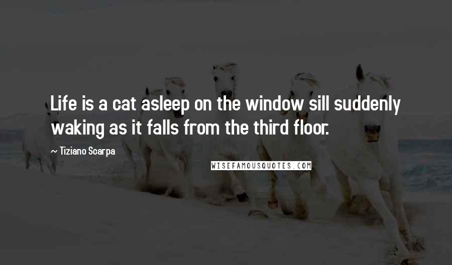 Tiziano Scarpa Quotes: Life is a cat asleep on the window sill suddenly waking as it falls from the third floor.