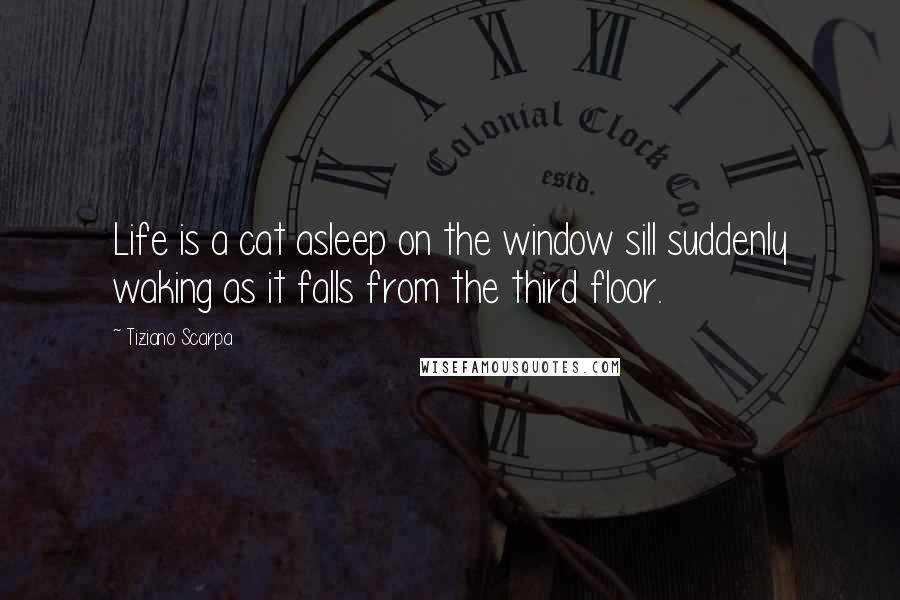 Tiziano Scarpa Quotes: Life is a cat asleep on the window sill suddenly waking as it falls from the third floor.