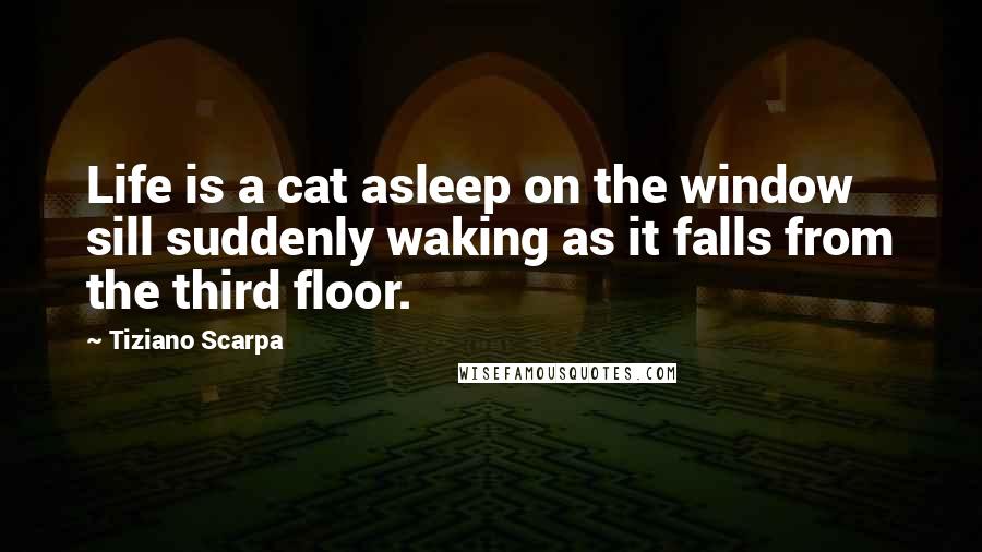 Tiziano Scarpa Quotes: Life is a cat asleep on the window sill suddenly waking as it falls from the third floor.