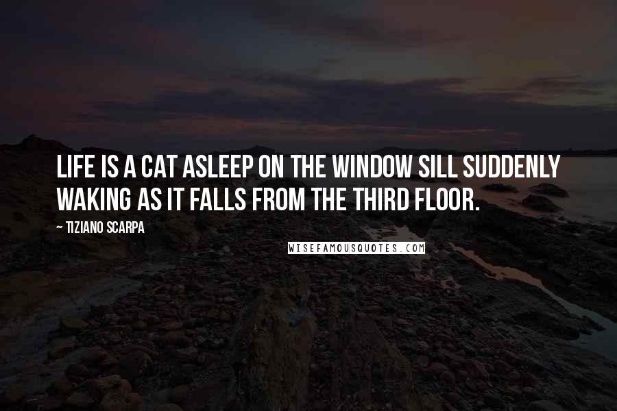 Tiziano Scarpa Quotes: Life is a cat asleep on the window sill suddenly waking as it falls from the third floor.