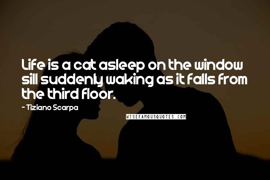 Tiziano Scarpa Quotes: Life is a cat asleep on the window sill suddenly waking as it falls from the third floor.