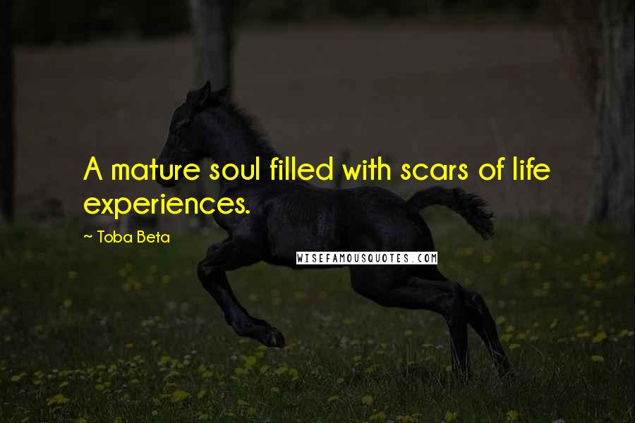 Toba Beta Quotes: A mature soul filled with scars of life experiences.