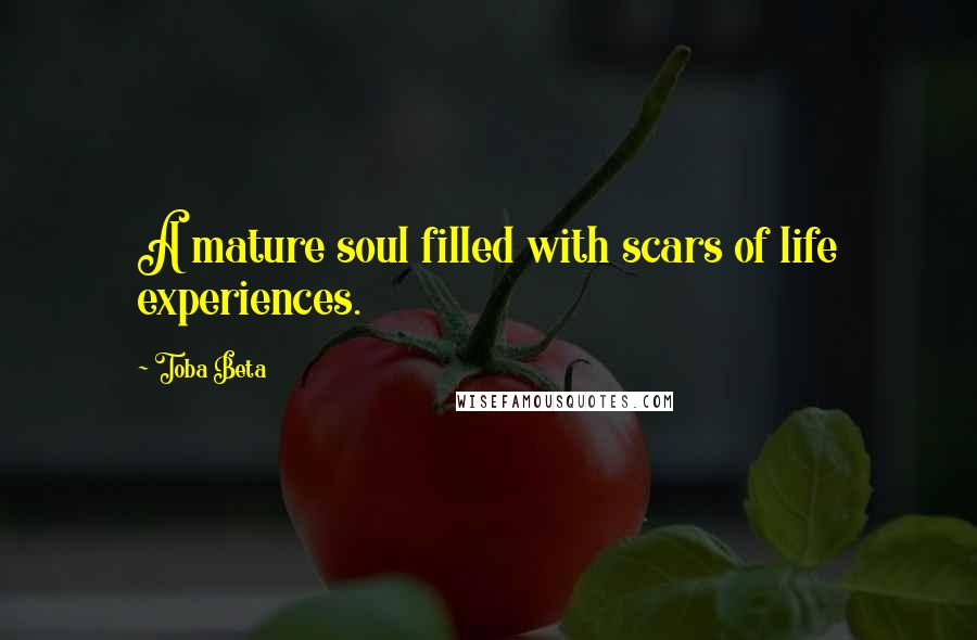 Toba Beta Quotes: A mature soul filled with scars of life experiences.