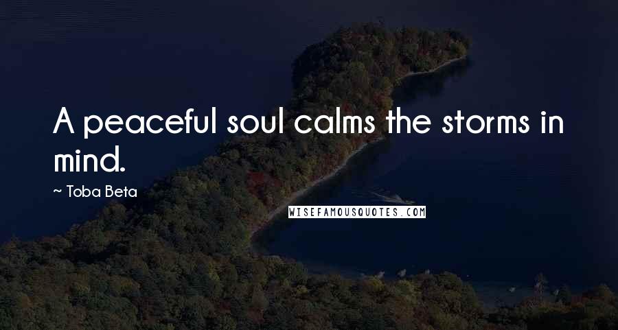 Toba Beta Quotes: A peaceful soul calms the storms in mind.