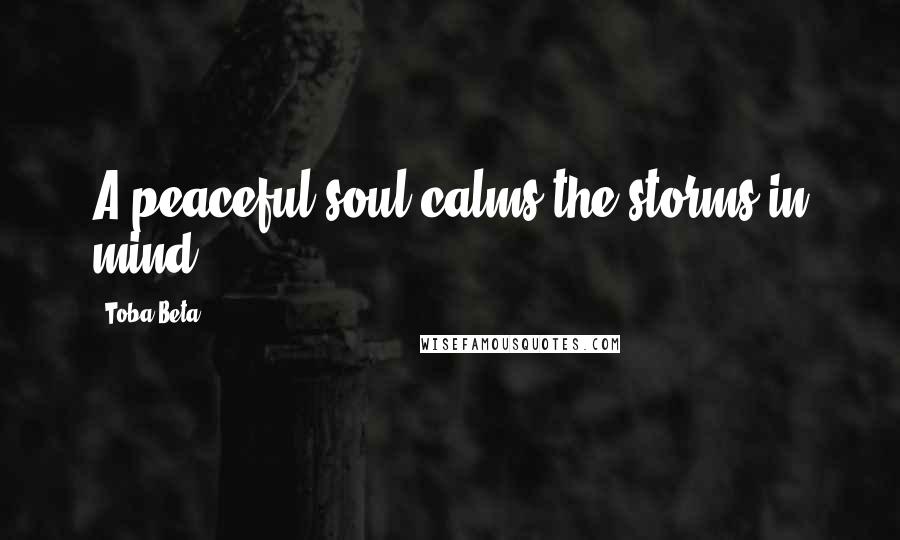 Toba Beta Quotes: A peaceful soul calms the storms in mind.