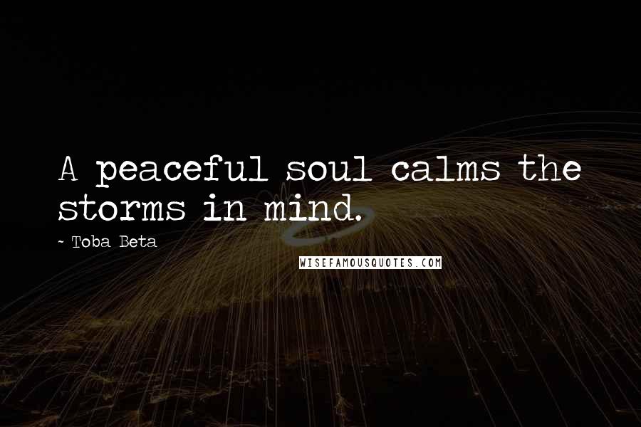 Toba Beta Quotes: A peaceful soul calms the storms in mind.