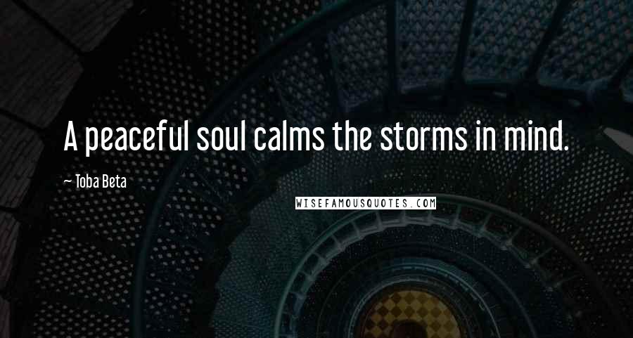 Toba Beta Quotes: A peaceful soul calms the storms in mind.
