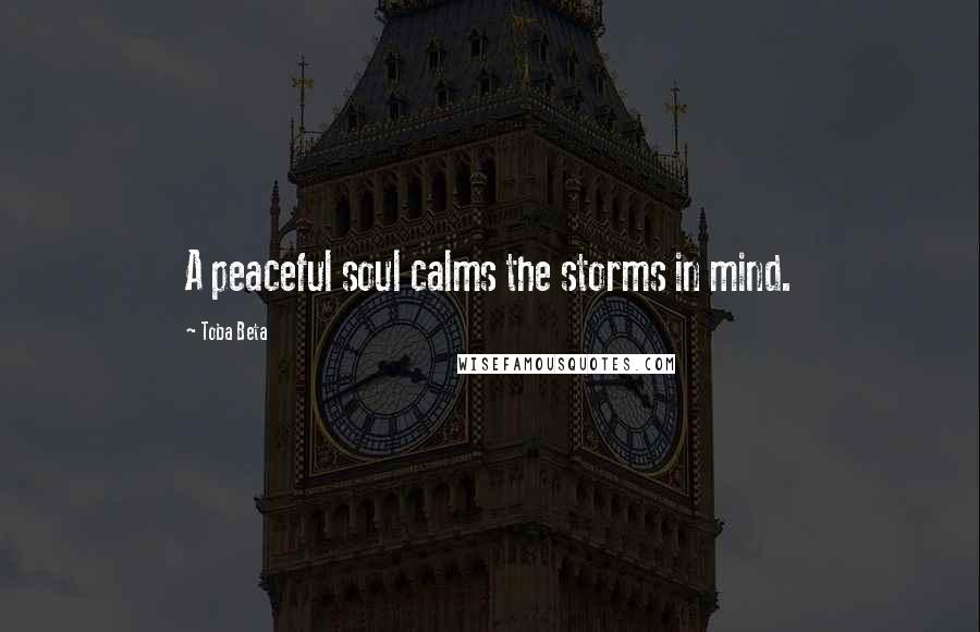 Toba Beta Quotes: A peaceful soul calms the storms in mind.