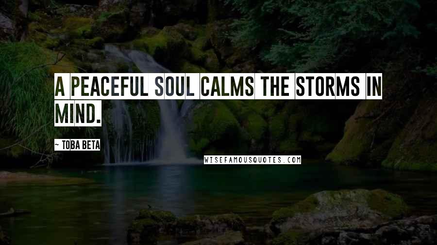 Toba Beta Quotes: A peaceful soul calms the storms in mind.