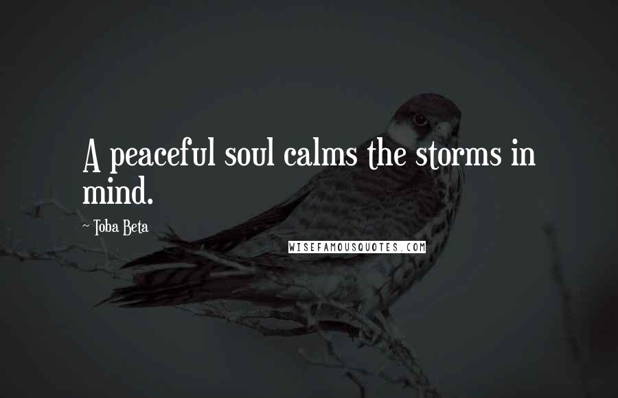 Toba Beta Quotes: A peaceful soul calms the storms in mind.