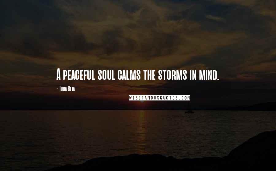 Toba Beta Quotes: A peaceful soul calms the storms in mind.