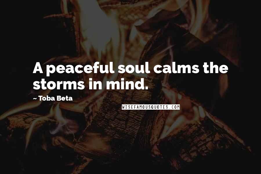 Toba Beta Quotes: A peaceful soul calms the storms in mind.