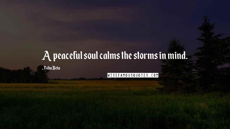 Toba Beta Quotes: A peaceful soul calms the storms in mind.