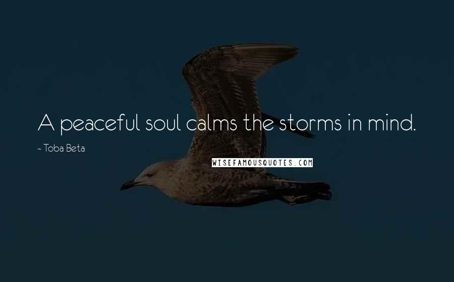 Toba Beta Quotes: A peaceful soul calms the storms in mind.
