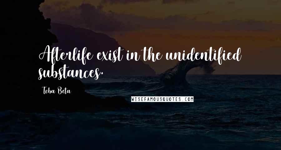 Toba Beta Quotes: Afterlife exist in the unidentified substances.