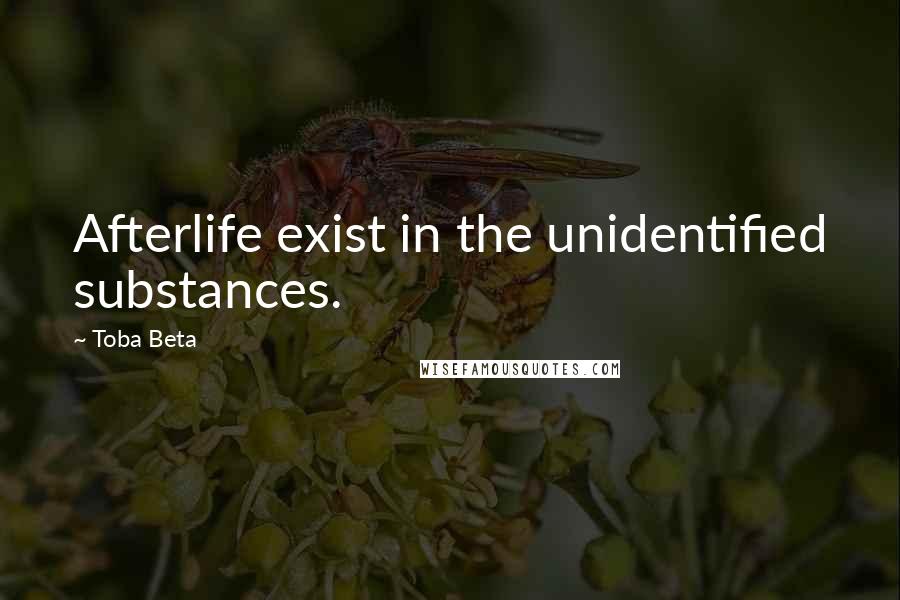 Toba Beta Quotes: Afterlife exist in the unidentified substances.