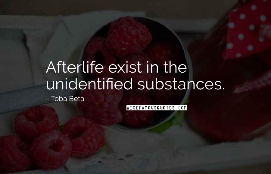 Toba Beta Quotes: Afterlife exist in the unidentified substances.