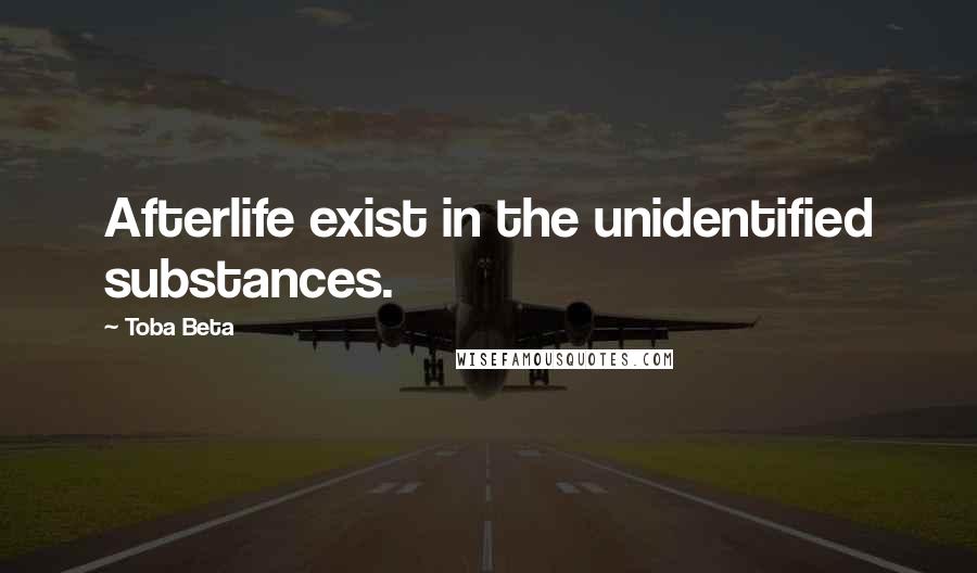 Toba Beta Quotes: Afterlife exist in the unidentified substances.