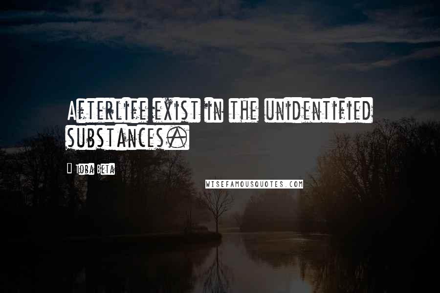 Toba Beta Quotes: Afterlife exist in the unidentified substances.