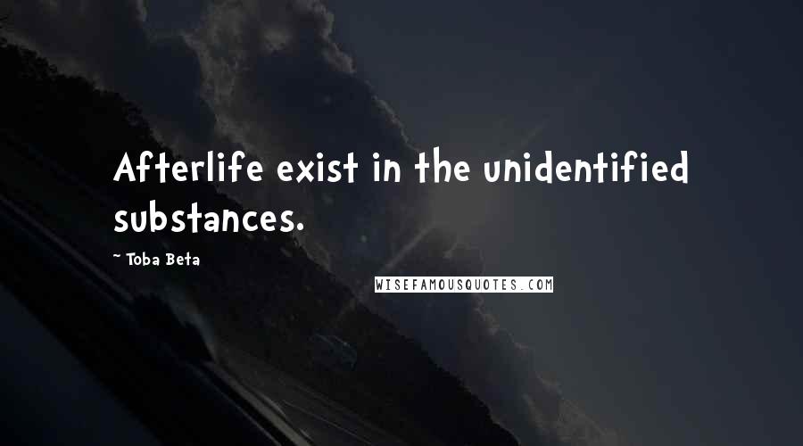 Toba Beta Quotes: Afterlife exist in the unidentified substances.