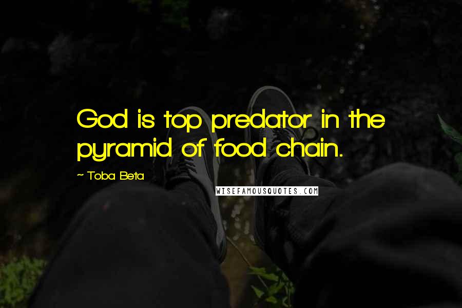 Toba Beta Quotes: God is top predator in the pyramid of food chain.