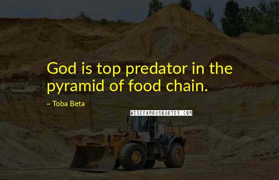 Toba Beta Quotes: God is top predator in the pyramid of food chain.