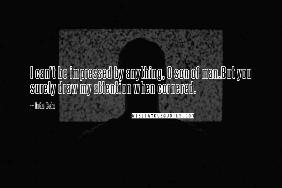 Toba Beta Quotes: I can't be impressed by anything, O son of man.But you surely draw my attention when cornered.