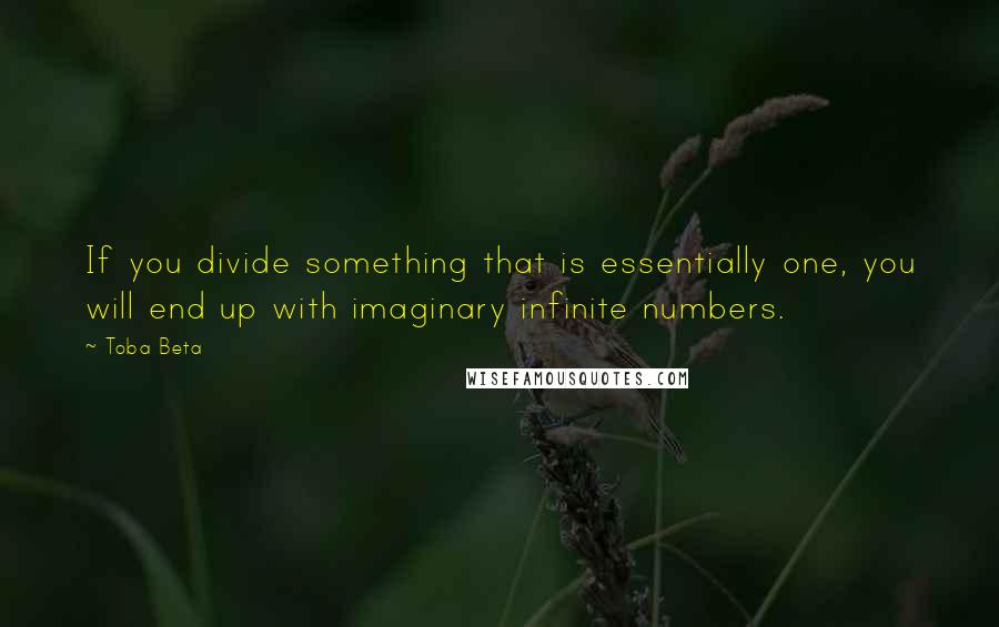 Toba Beta Quotes: If you divide something that is essentially one, you will end up with imaginary infinite numbers.