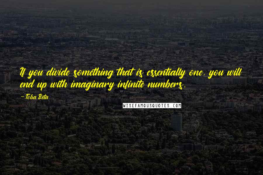 Toba Beta Quotes: If you divide something that is essentially one, you will end up with imaginary infinite numbers.