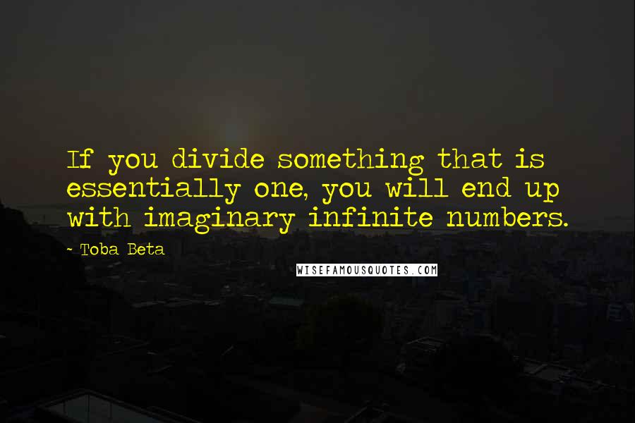 Toba Beta Quotes: If you divide something that is essentially one, you will end up with imaginary infinite numbers.