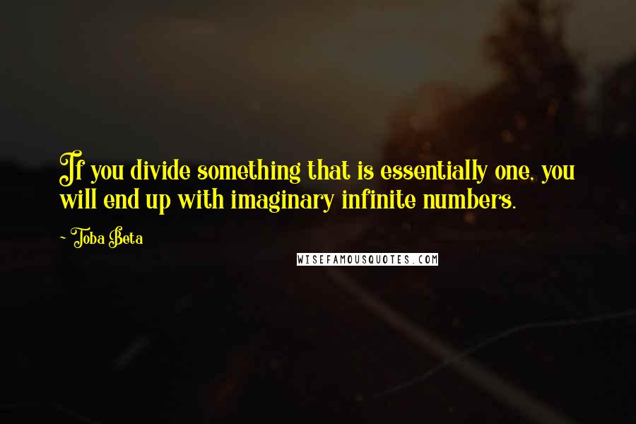 Toba Beta Quotes: If you divide something that is essentially one, you will end up with imaginary infinite numbers.