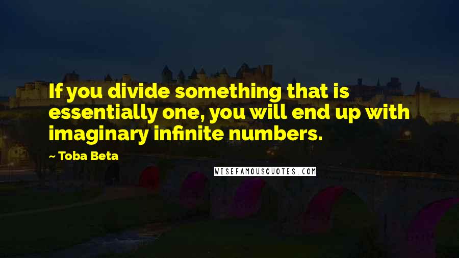 Toba Beta Quotes: If you divide something that is essentially one, you will end up with imaginary infinite numbers.