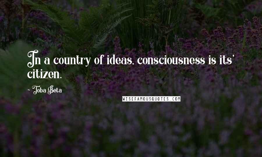 Toba Beta Quotes: In a country of ideas, consciousness is its' citizen.