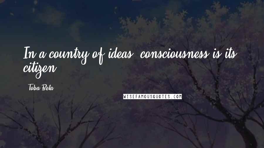 Toba Beta Quotes: In a country of ideas, consciousness is its' citizen.